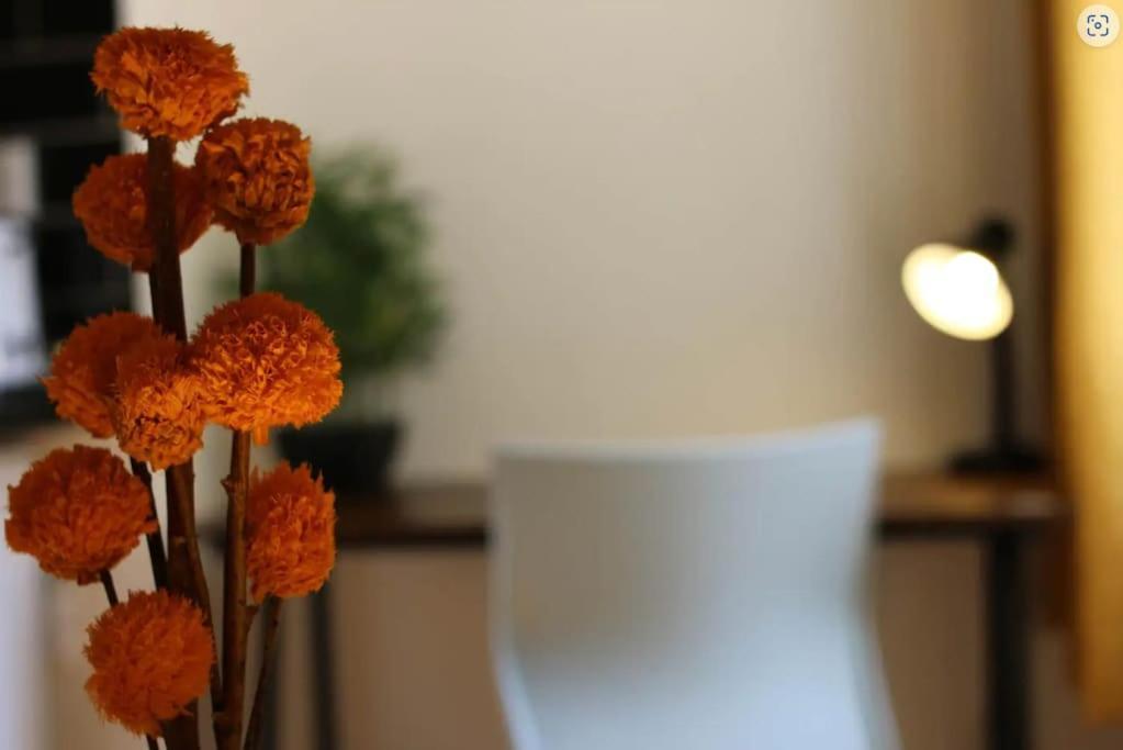 Apartamento Big Value Bedsit By Promise